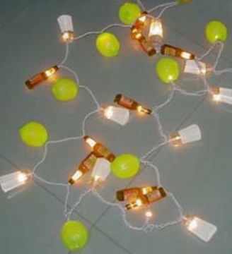 Light String With Bottle, Lemon, Star, Chili ,Cactus Lampshade